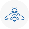 Bee Nest Removal Harold Wood