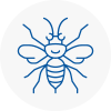 Harold Wood Hornet Nest Removals