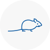 Mice Exterminators In Harold Wood