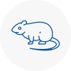 Rat Control Harold Wood