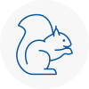 Harold Wood Rodent Removals