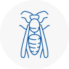 Harold Wood Wasp Nest Removal